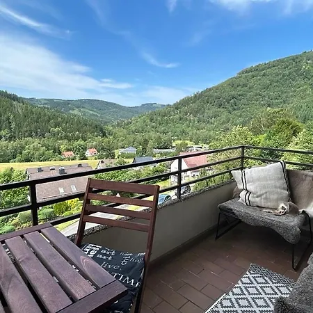 아파트 Lautenthaler Bergblick 란겔샤임