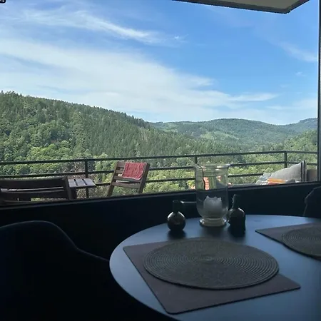 Lautenthaler Bergblick 아파트 *