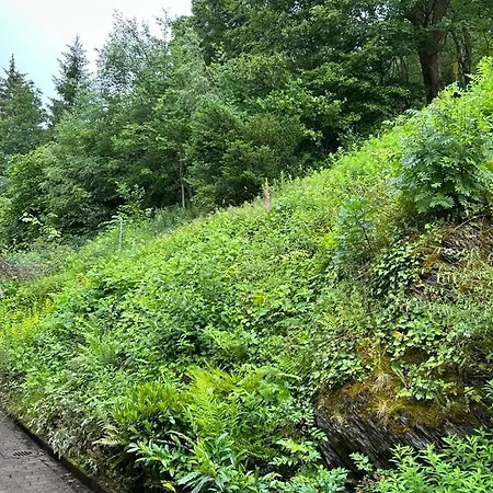 Lautenthaler Bergblick 란겔샤임