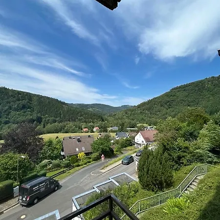 Lautenthaler Bergblick * 란겔샤임