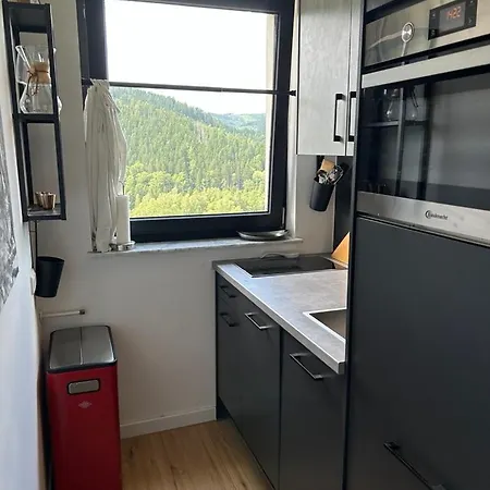 아파트 Lautenthaler Bergblick